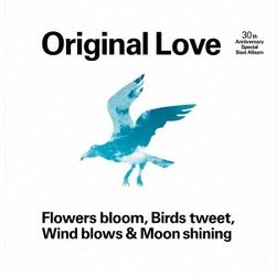 Flowers bloom, Birds tweet,