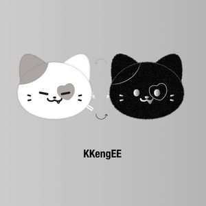 [3RD WORLD TOUR-TUNNEL VISION]-(KKengEE)TWINZY雙面收納