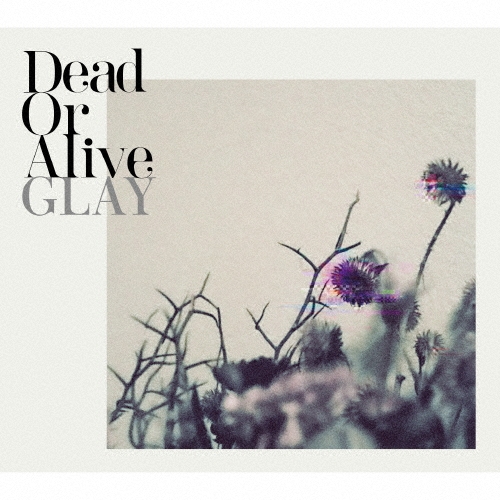 Dead Or Alive (日本進口CD+Blu-ray)